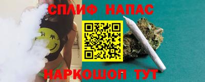 прущие грибы Азнакаево