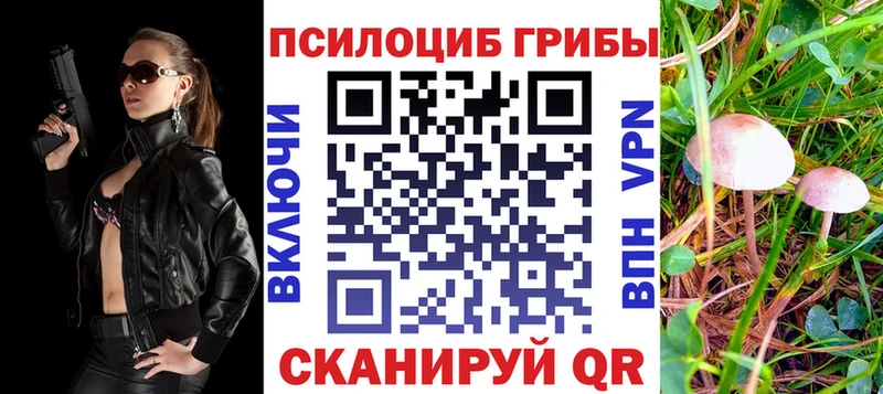 это как зайти  Алексеевка  Галлюциногенные грибы мухоморы 
