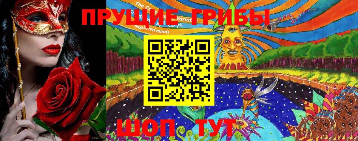 Псилоцибиновые грибы Psilocybine cubensis  Алексеевка 