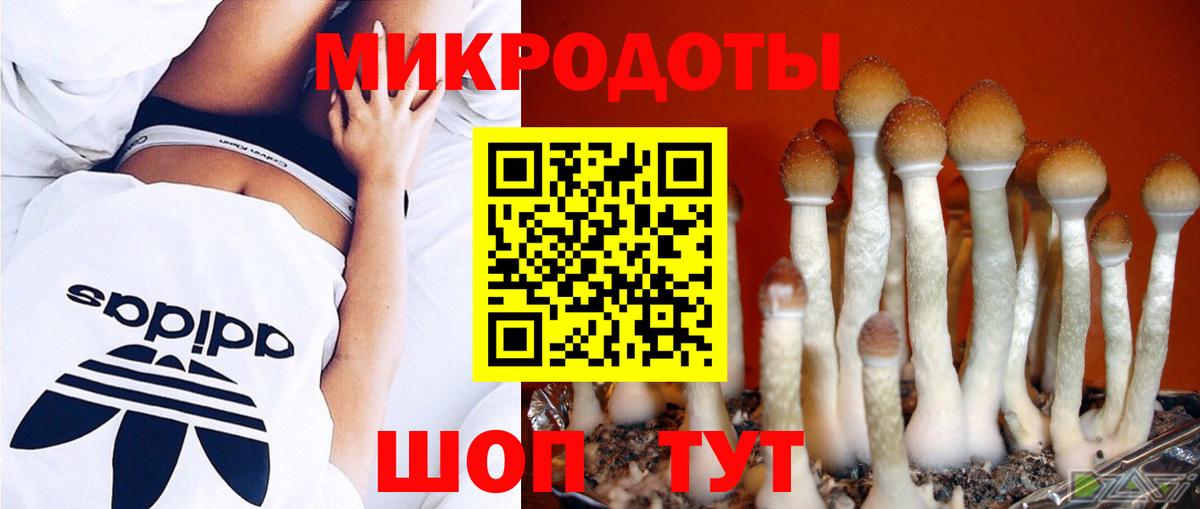 Псилоцибиновые грибы Magic Shrooms Алексеевка
