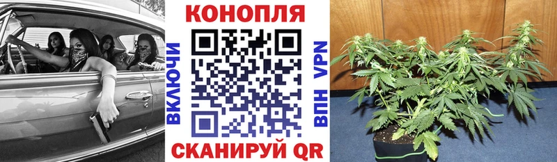купить  цена  Алексеевка  ОМГ ОМГ ТОР  Каннабис Amnesia 